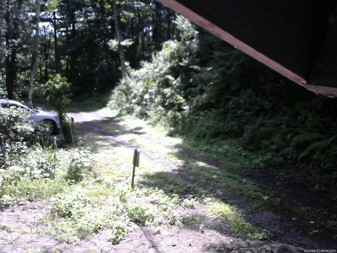 長野県菅平高原 ゆたか山荘 東側(坂下) 2025/08/17 09:30