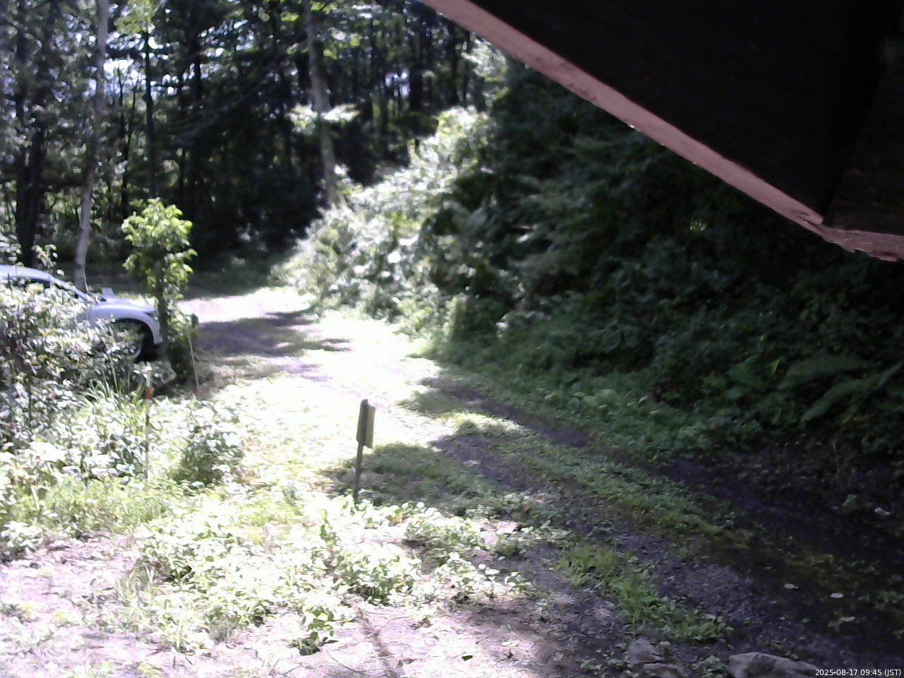 長野県菅平高原 ゆたか山荘 東側(坂下) 2025/08/17 09:45