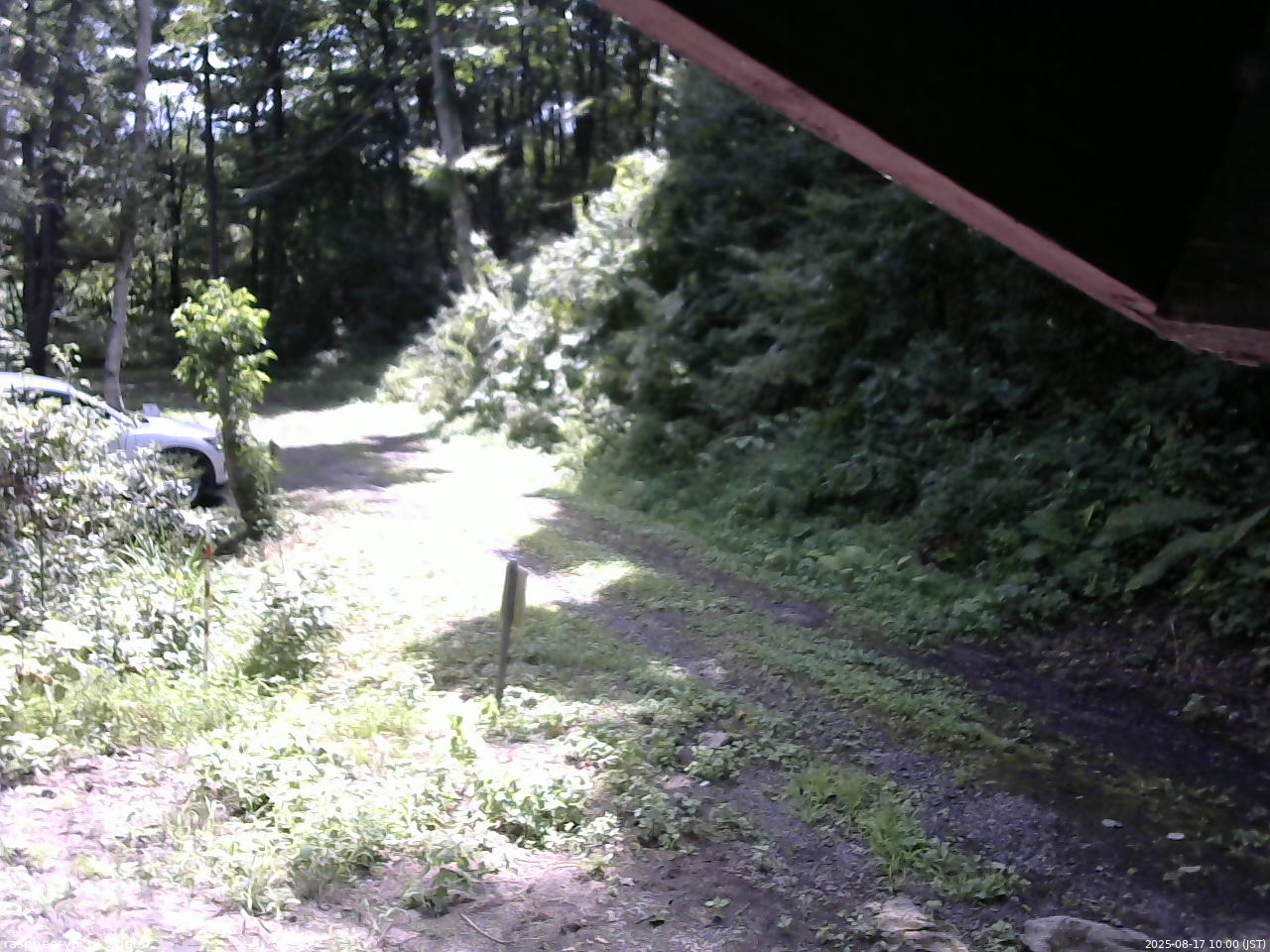 長野県菅平高原 ゆたか山荘 東側(坂下) 2025/08/17 10:00