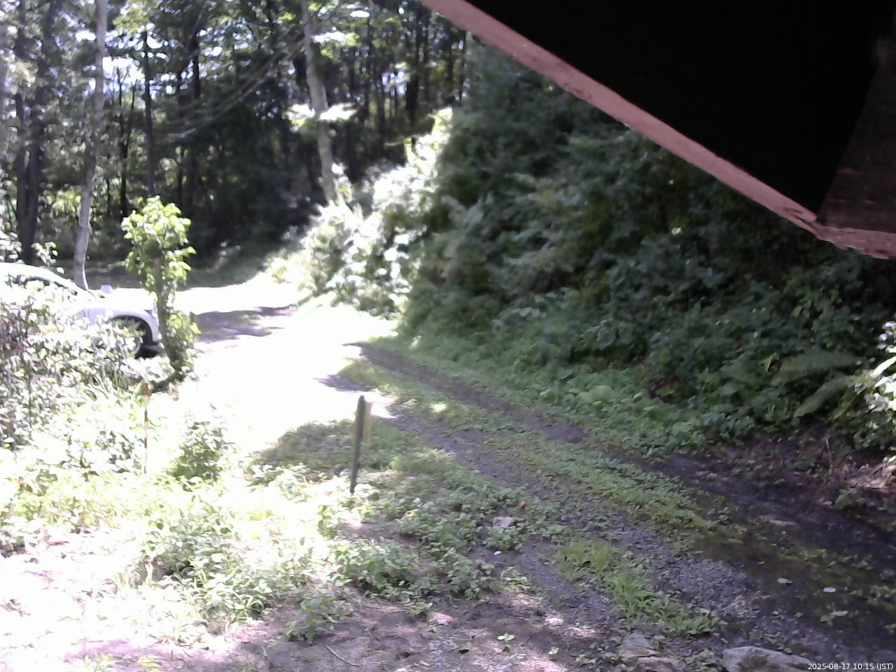長野県菅平高原 ゆたか山荘 東側(坂下) 2025/08/17 10:15