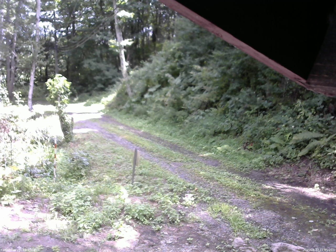 長野県菅平高原 ゆたか山荘 東側(坂下) 2025/08/17 11:45