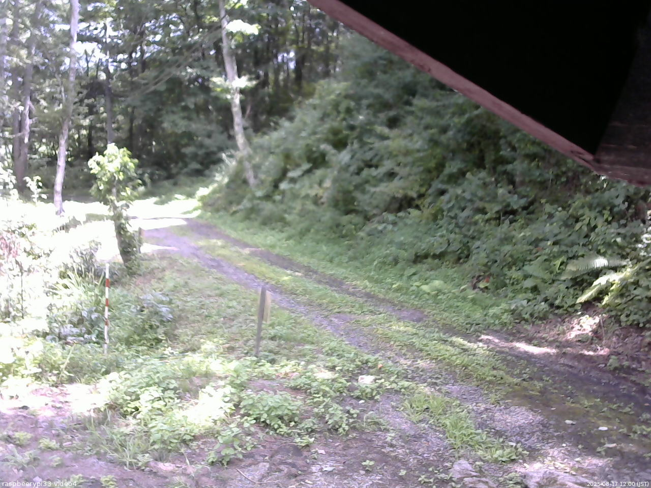 長野県菅平高原 ゆたか山荘 東側(坂下) 2025/08/17 12:00