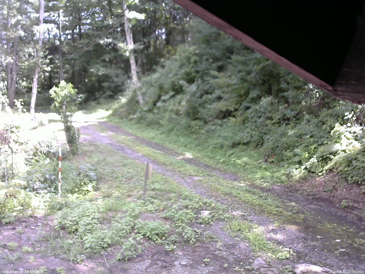 長野県菅平高原 ゆたか山荘 東側(坂下) 2025/08/17 12:15