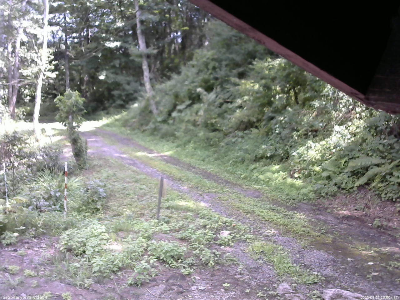 長野県菅平高原 ゆたか山荘 東側(坂下) 2025/08/17 13:00