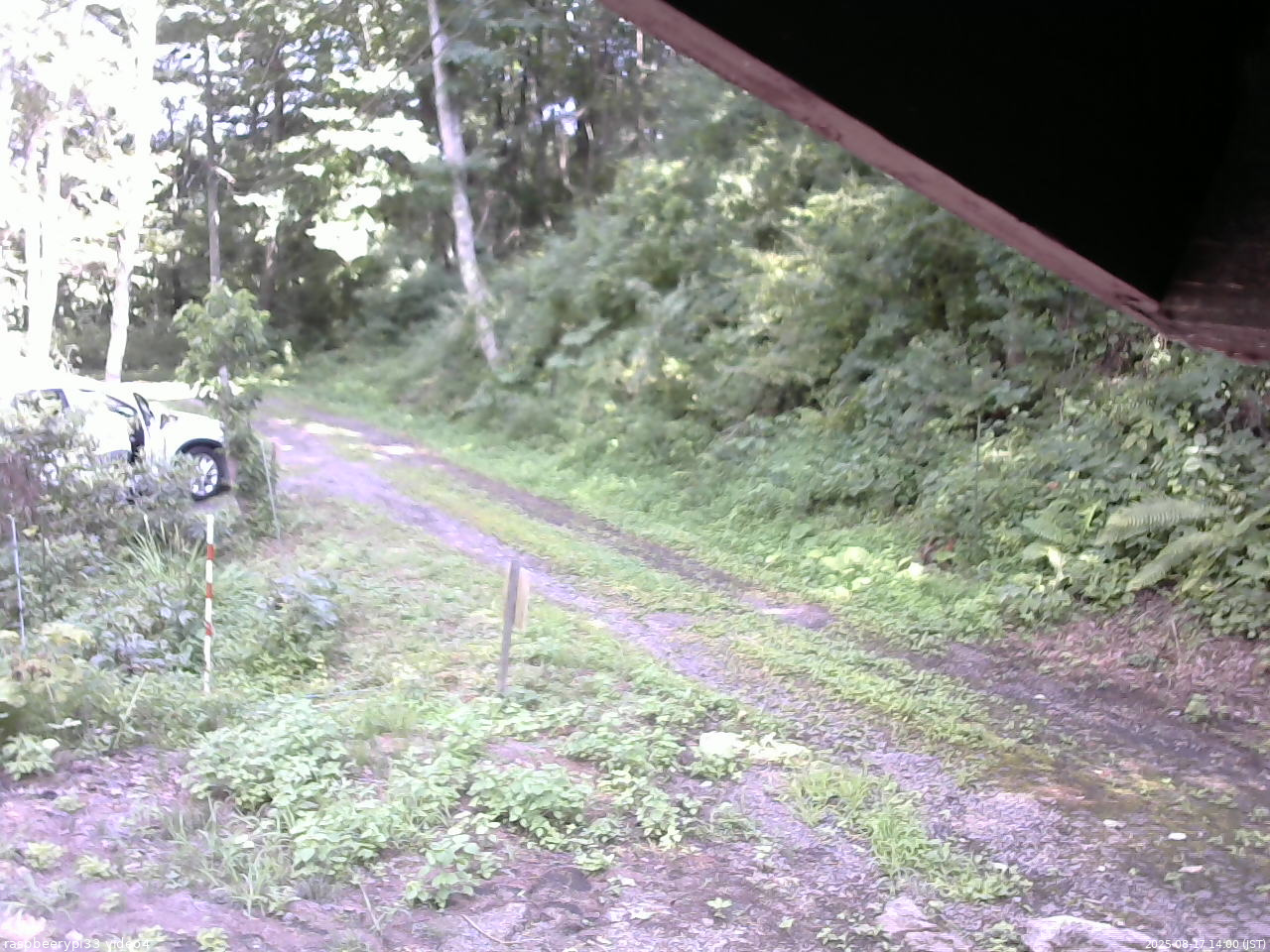 長野県菅平高原 ゆたか山荘 東側(坂下) 2025/08/17 14:00