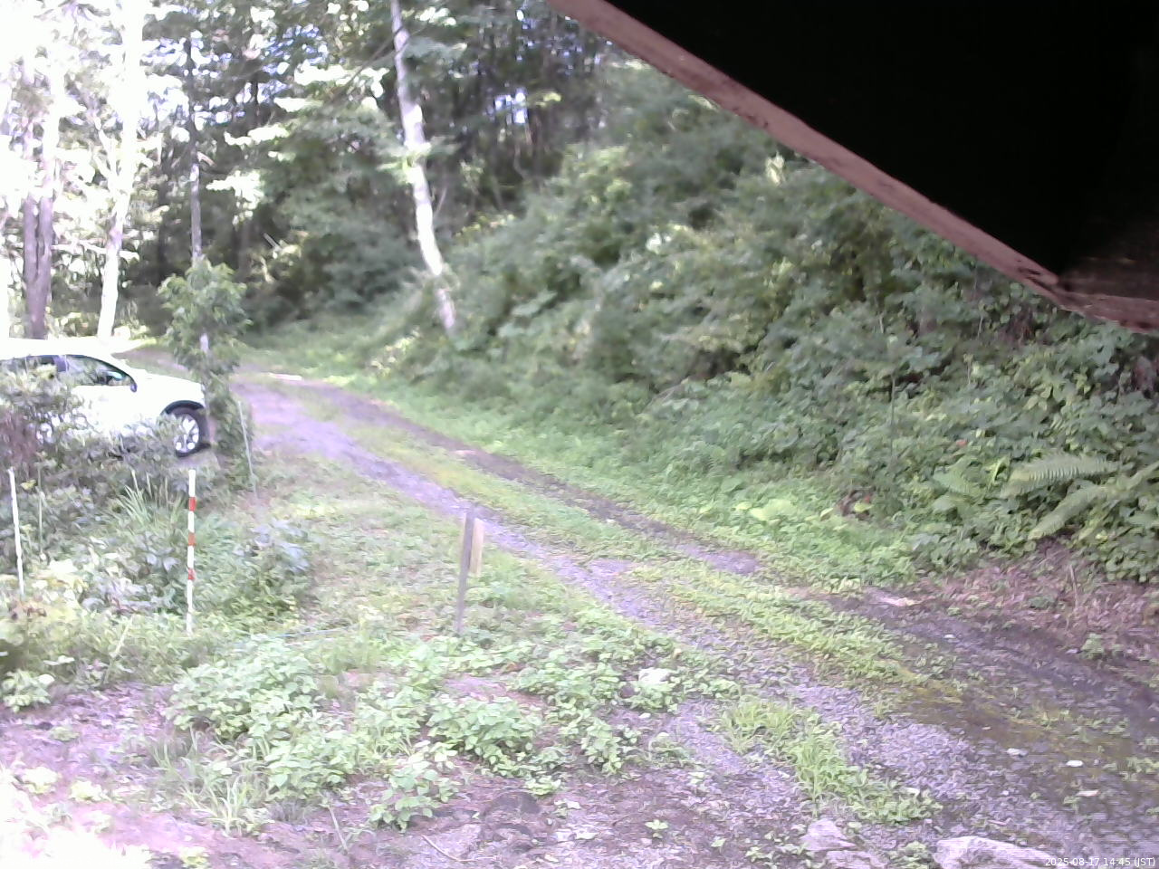 長野県菅平高原 ゆたか山荘 東側(坂下) 2025/08/17 14:45