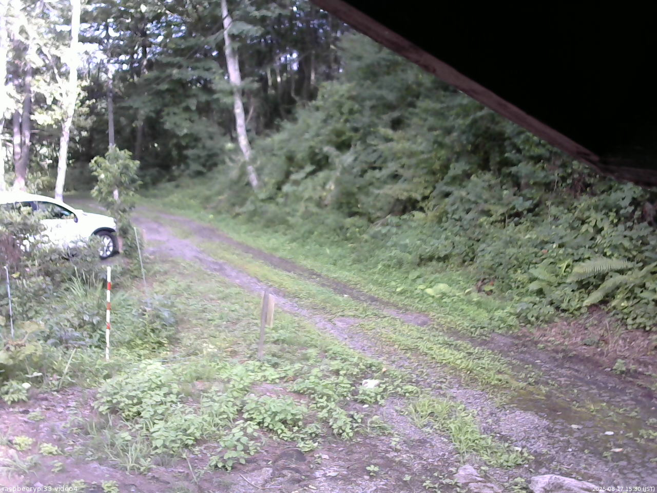 長野県菅平高原 ゆたか山荘 東側(坂下) 2025/08/17 15:30