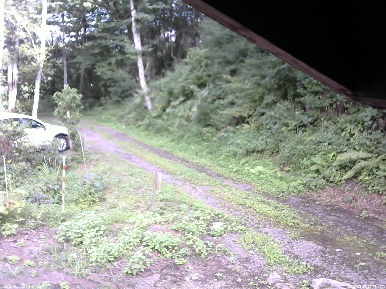 長野県菅平高原 ゆたか山荘 東側(坂下) 2025/08/17 15:45