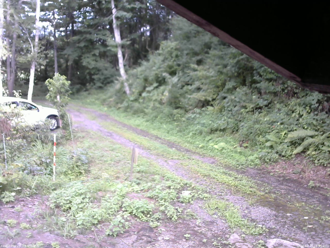 長野県菅平高原 ゆたか山荘 東側(坂下) 2025/08/17 16:45