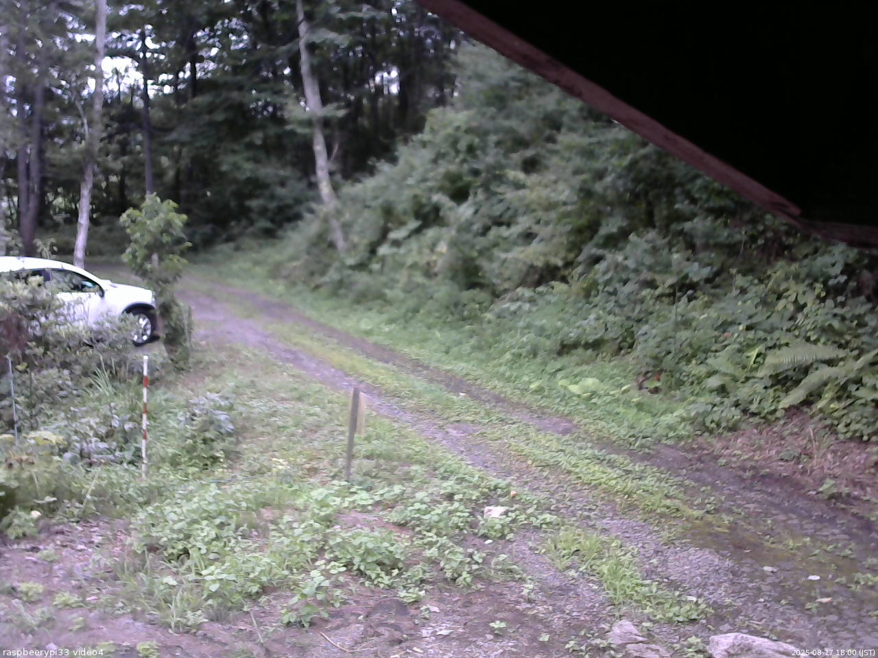 長野県菅平高原 ゆたか山荘 東側(坂下) 2025/08/17 18:00