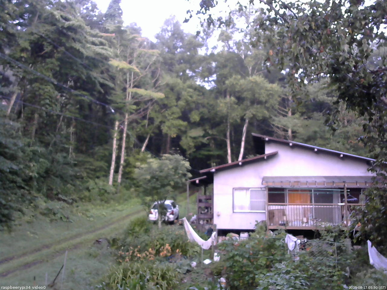 長野県菅平高原 ゆたか山荘 西側(坂上) 2025/08/17 05:30