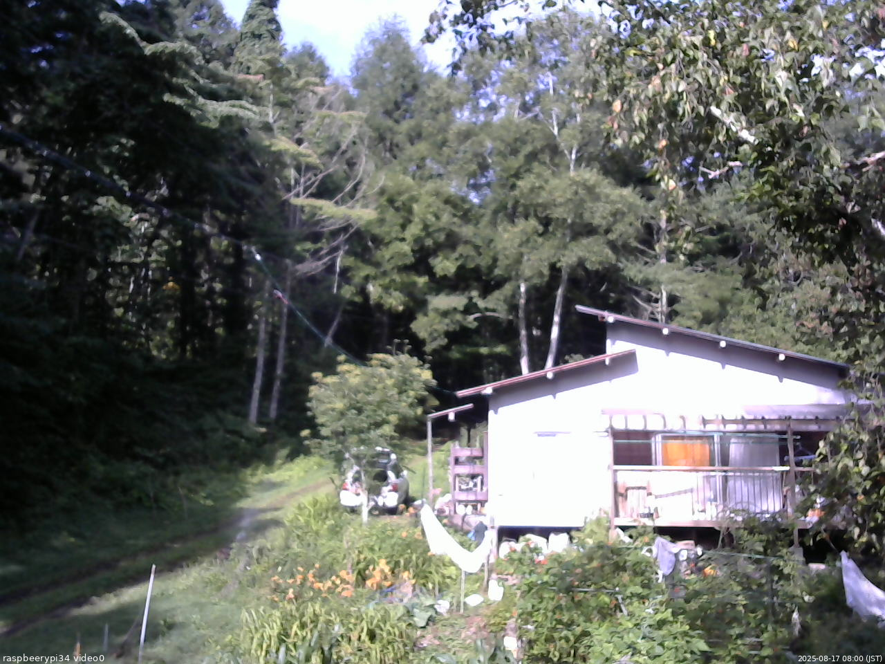 長野県菅平高原 ゆたか山荘 西側(坂上) 2025/08/17 08:00