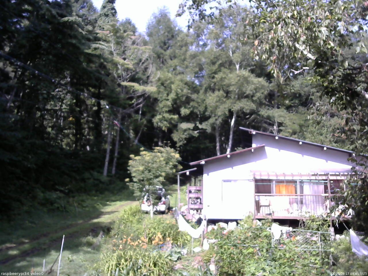 長野県菅平高原 ゆたか山荘 西側(坂上) 2025/08/17 08:45
