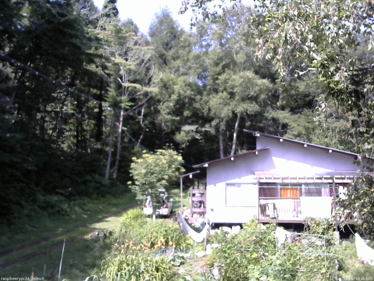 長野県菅平高原 ゆたか山荘 西側(坂上) 2025/08/17 09:45