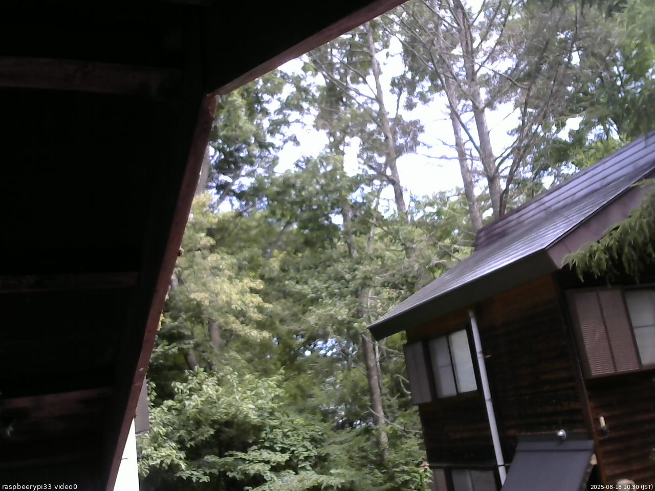 長野県菅平高原 ゆたか山荘 北側 2025/08/18 10:30
