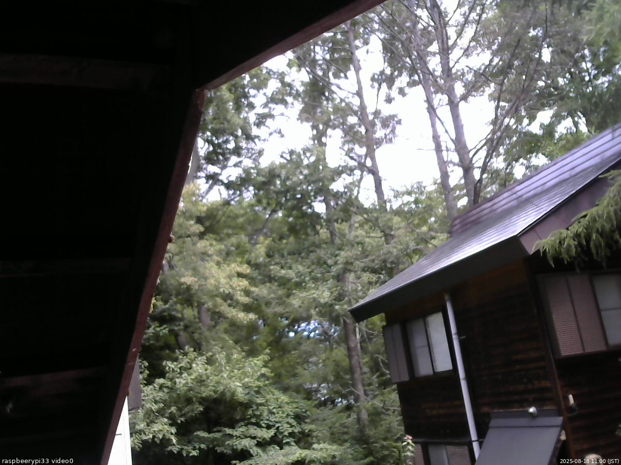 長野県菅平高原 ゆたか山荘 北側 2025/08/18 11:00