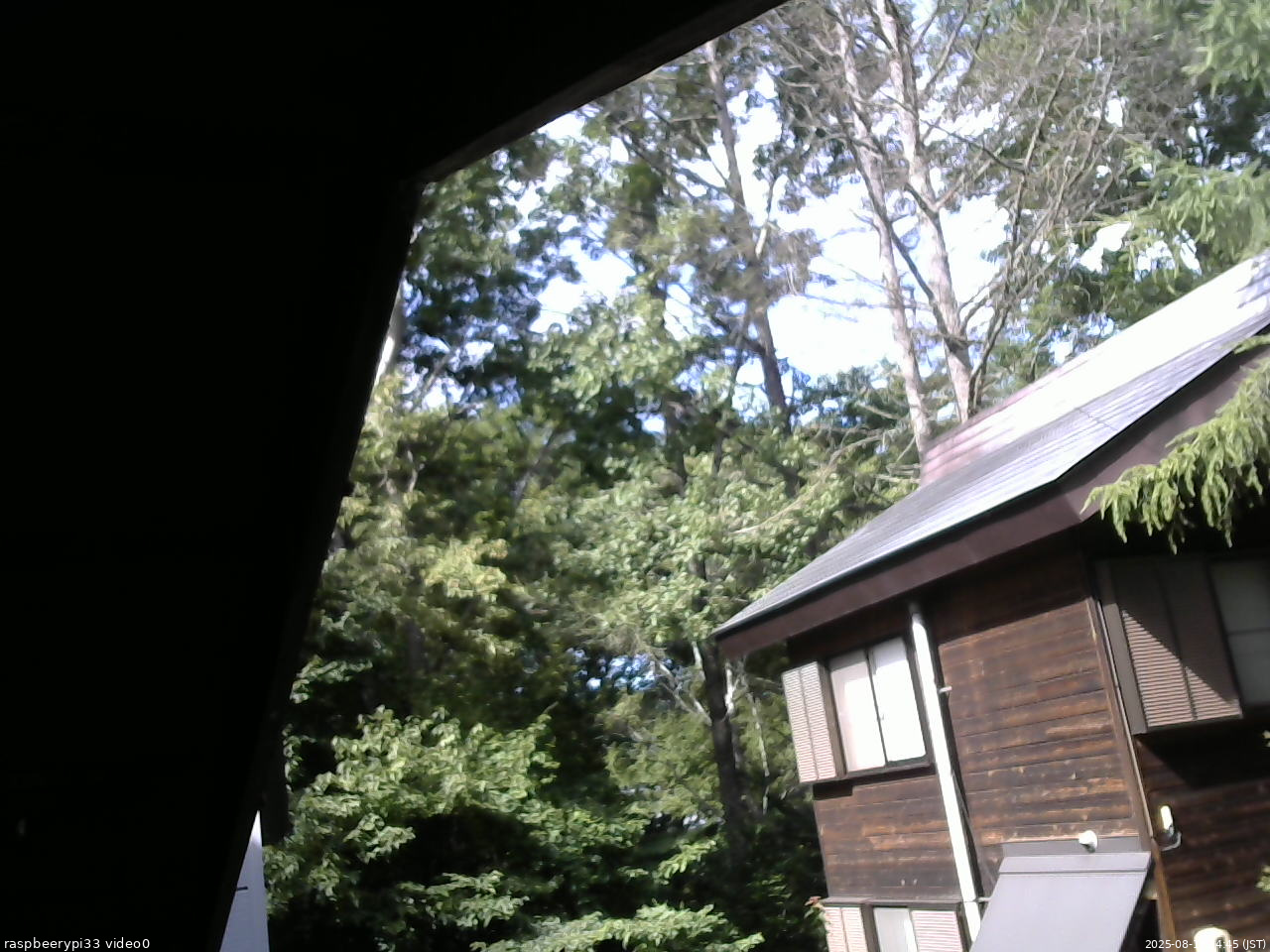 長野県菅平高原 ゆたか山荘 北側 2025/08/18 14:45