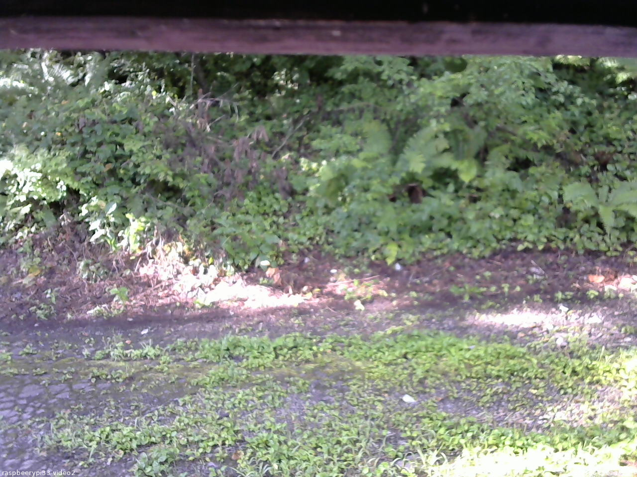 長野県菅平高原 ゆたか山荘 南側 2025/08/18 07:15