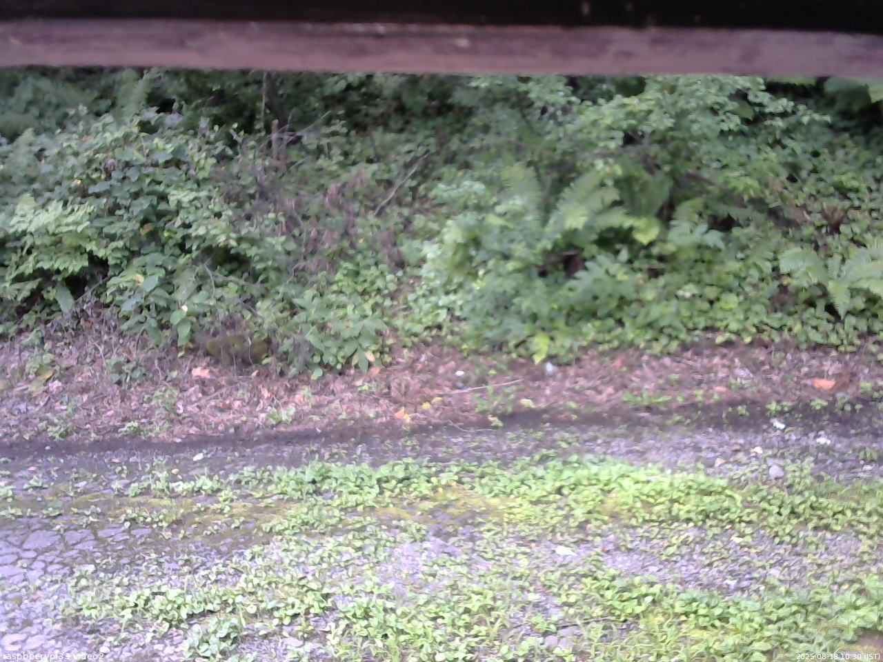 長野県菅平高原 ゆたか山荘 南側 2025/08/18 10:30