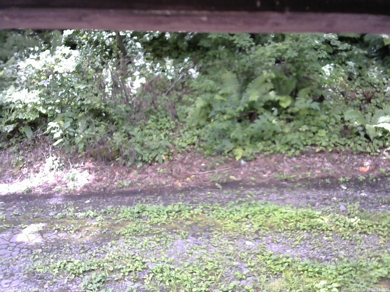 長野県菅平高原 ゆたか山荘 南側 2025/08/18 11:15