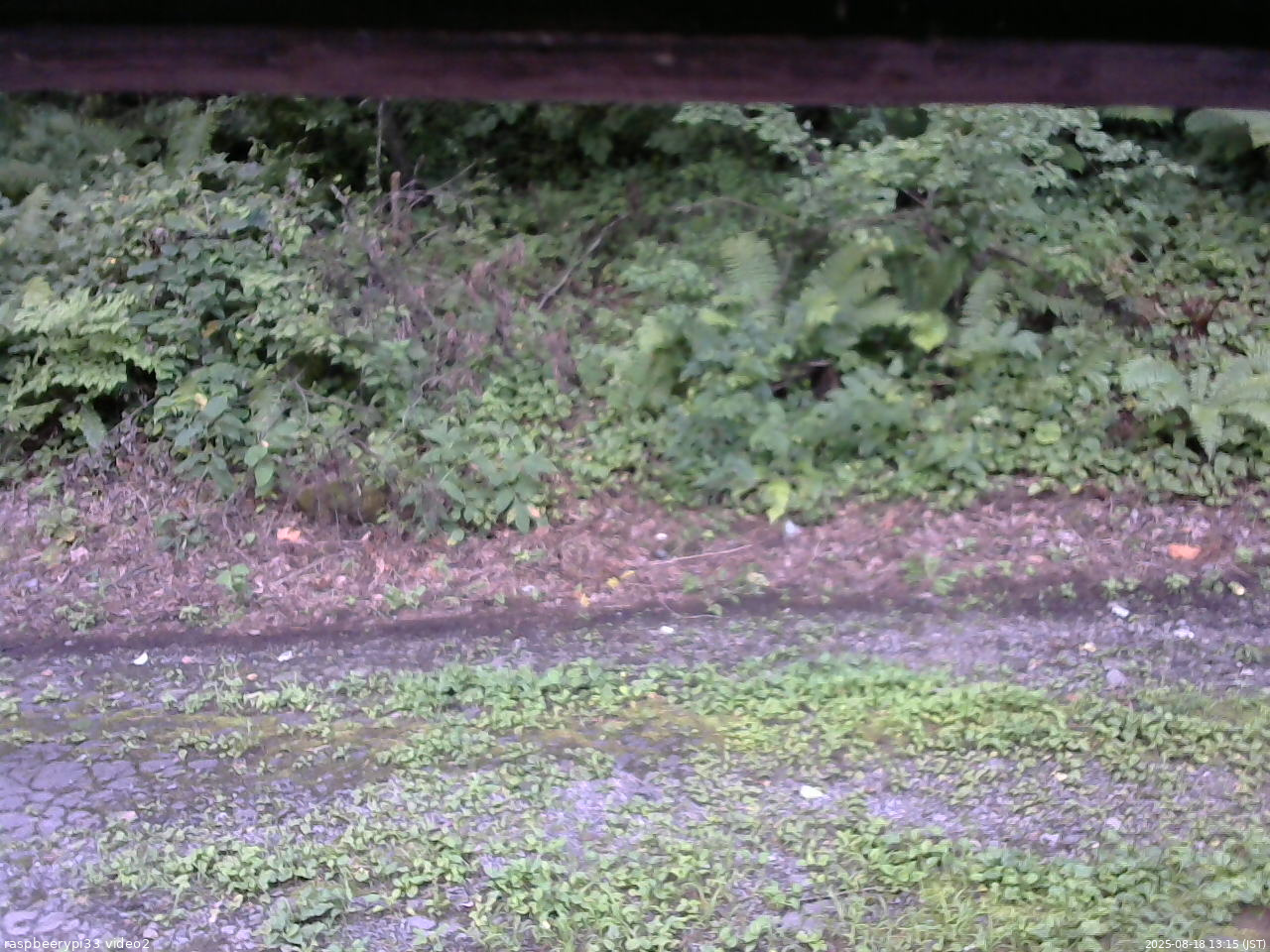長野県菅平高原 ゆたか山荘 南側 2025/08/18 13:15