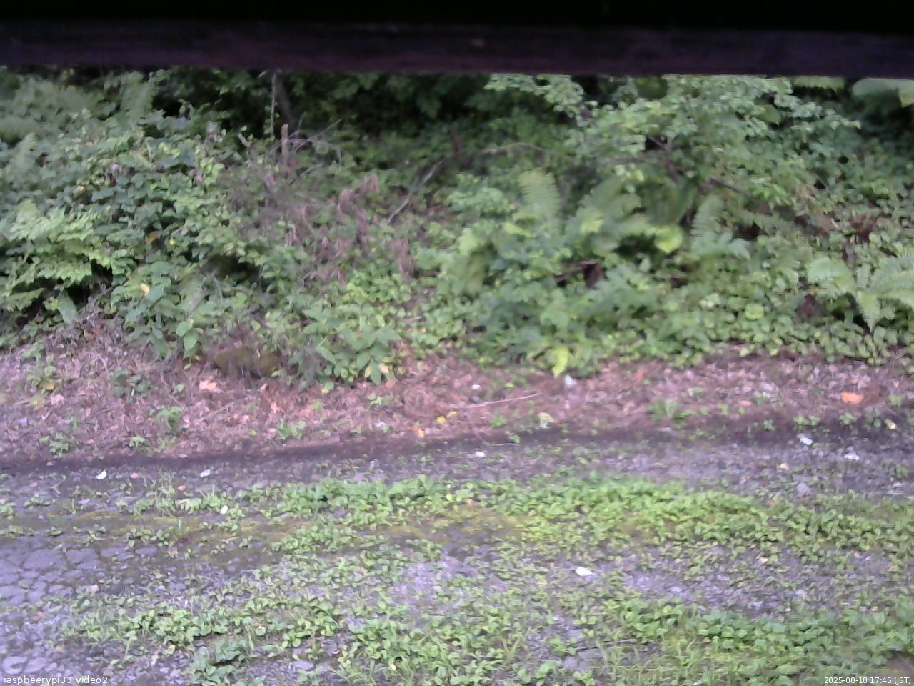 長野県菅平高原 ゆたか山荘 南側 2025/08/18 17:45