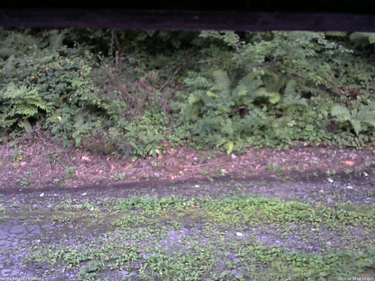 長野県菅平高原 ゆたか山荘 南側 2025/08/18 18:15