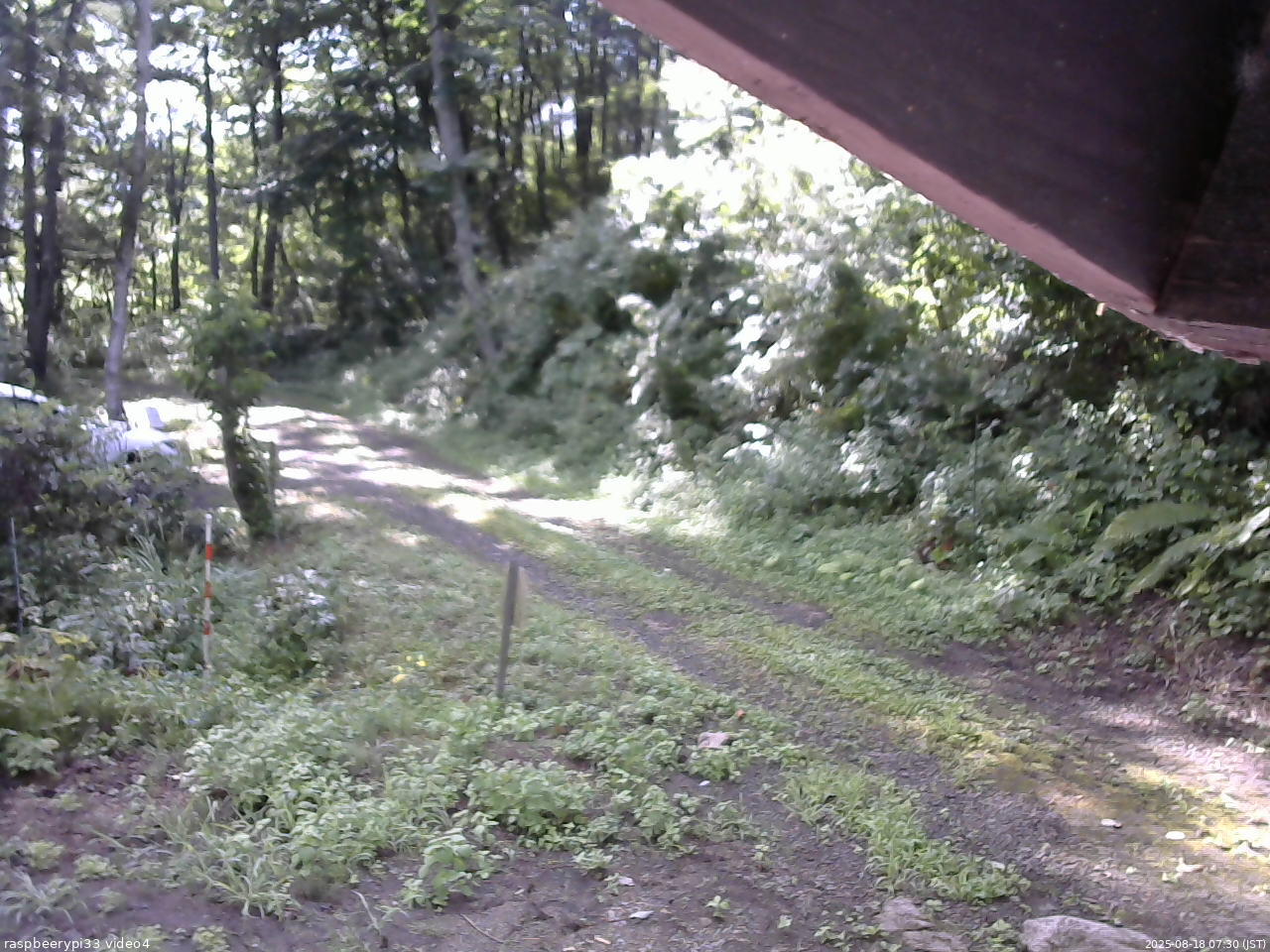 長野県菅平高原 ゆたか山荘 東側(坂下) 2025/08/18 07:30