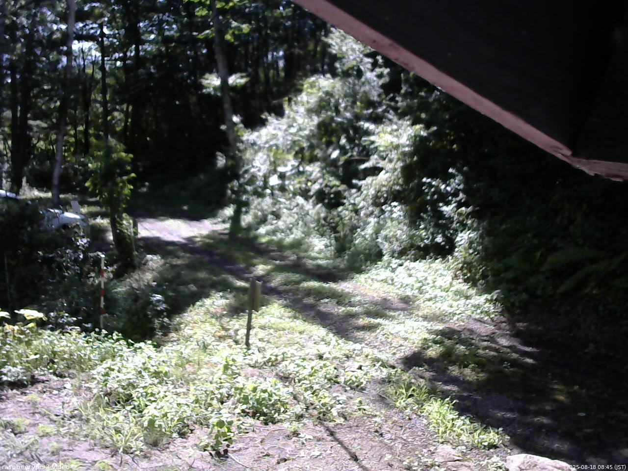 長野県菅平高原 ゆたか山荘 東側(坂下) 2025/08/18 08:45