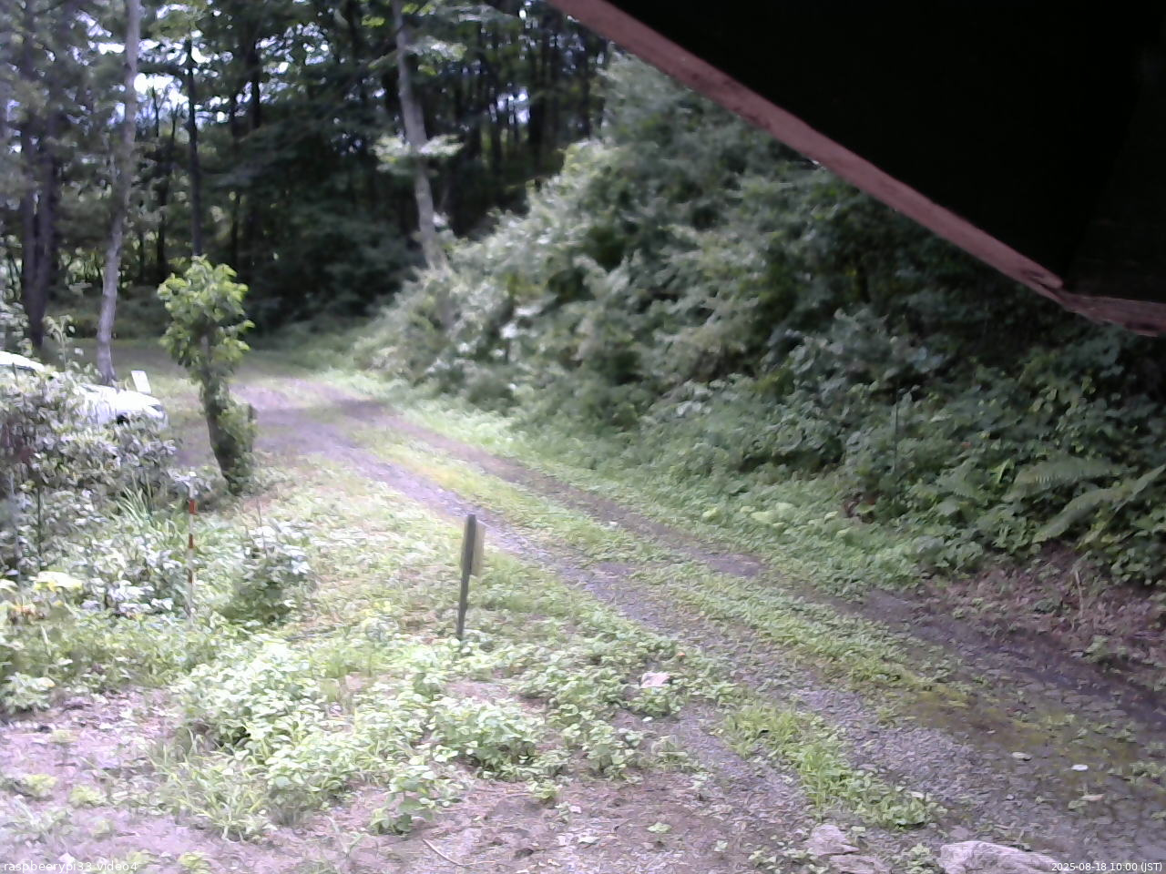 長野県菅平高原 ゆたか山荘 東側(坂下) 2025/08/18 10:00