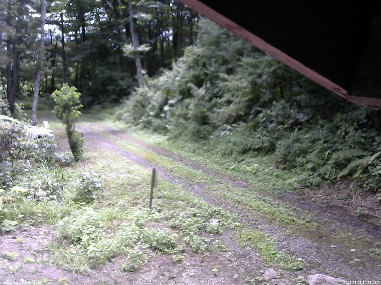 長野県菅平高原 ゆたか山荘 東側(坂下) 2025/08/18 10:15