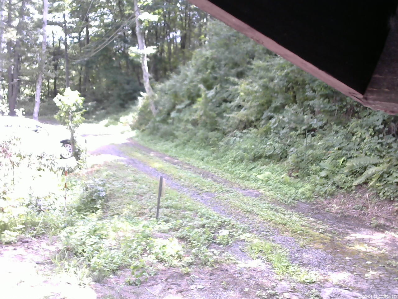 長野県菅平高原 ゆたか山荘 東側(坂下) 2025/08/18 11:30