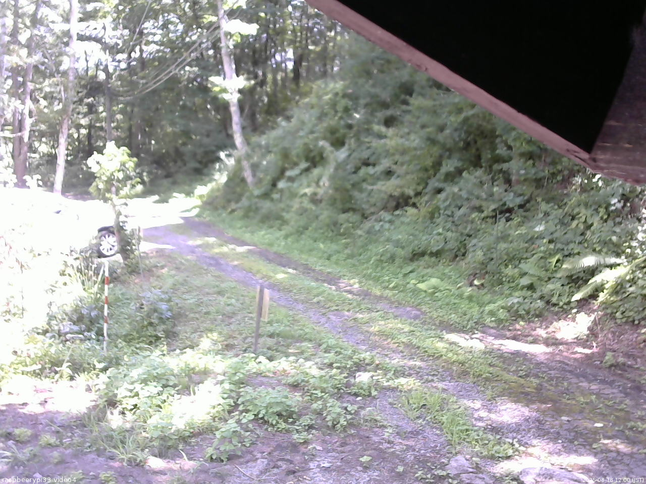 長野県菅平高原 ゆたか山荘 東側(坂下) 2025/08/18 12:00