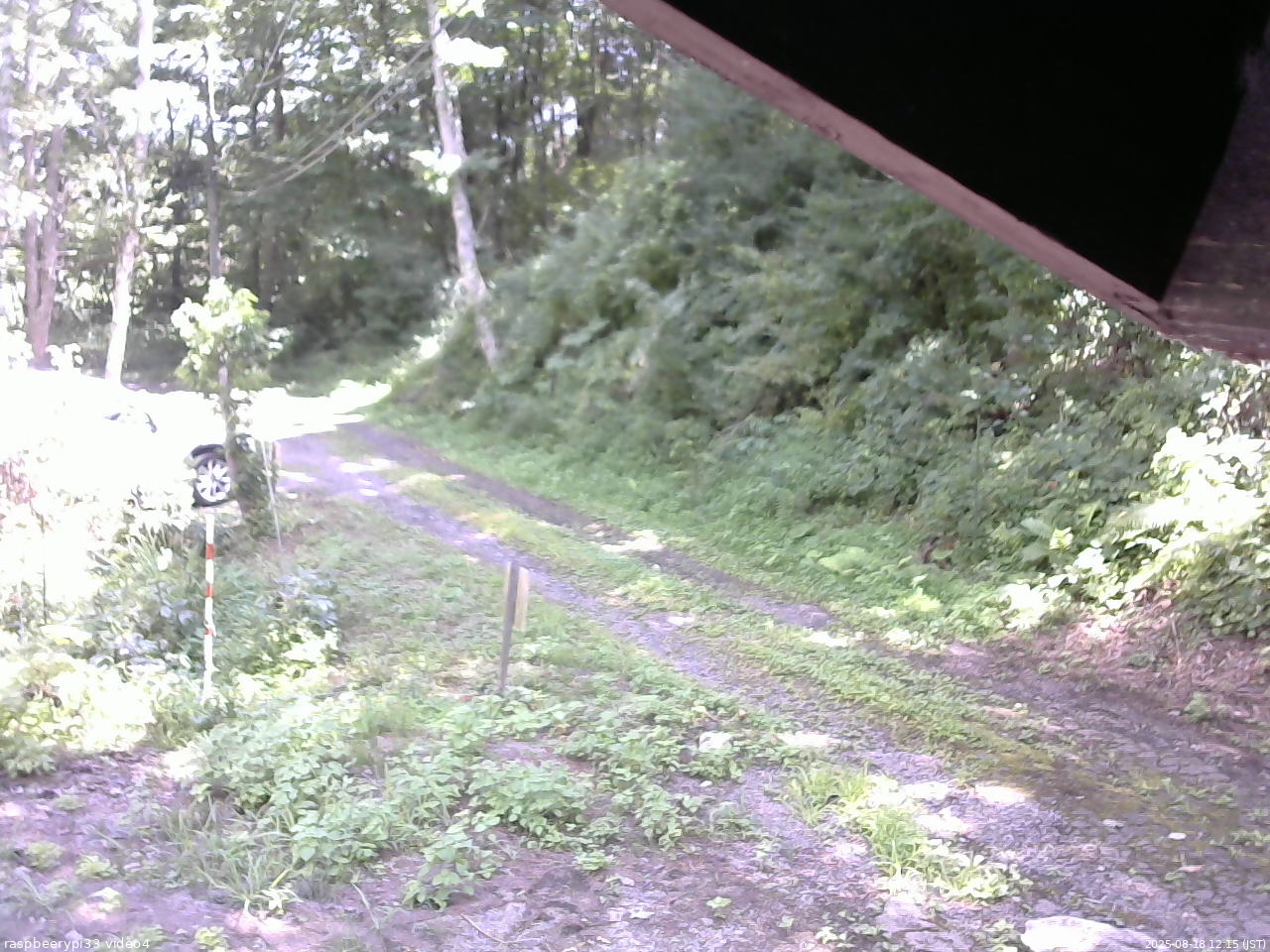 長野県菅平高原 ゆたか山荘 東側(坂下) 2025/08/18 12:15