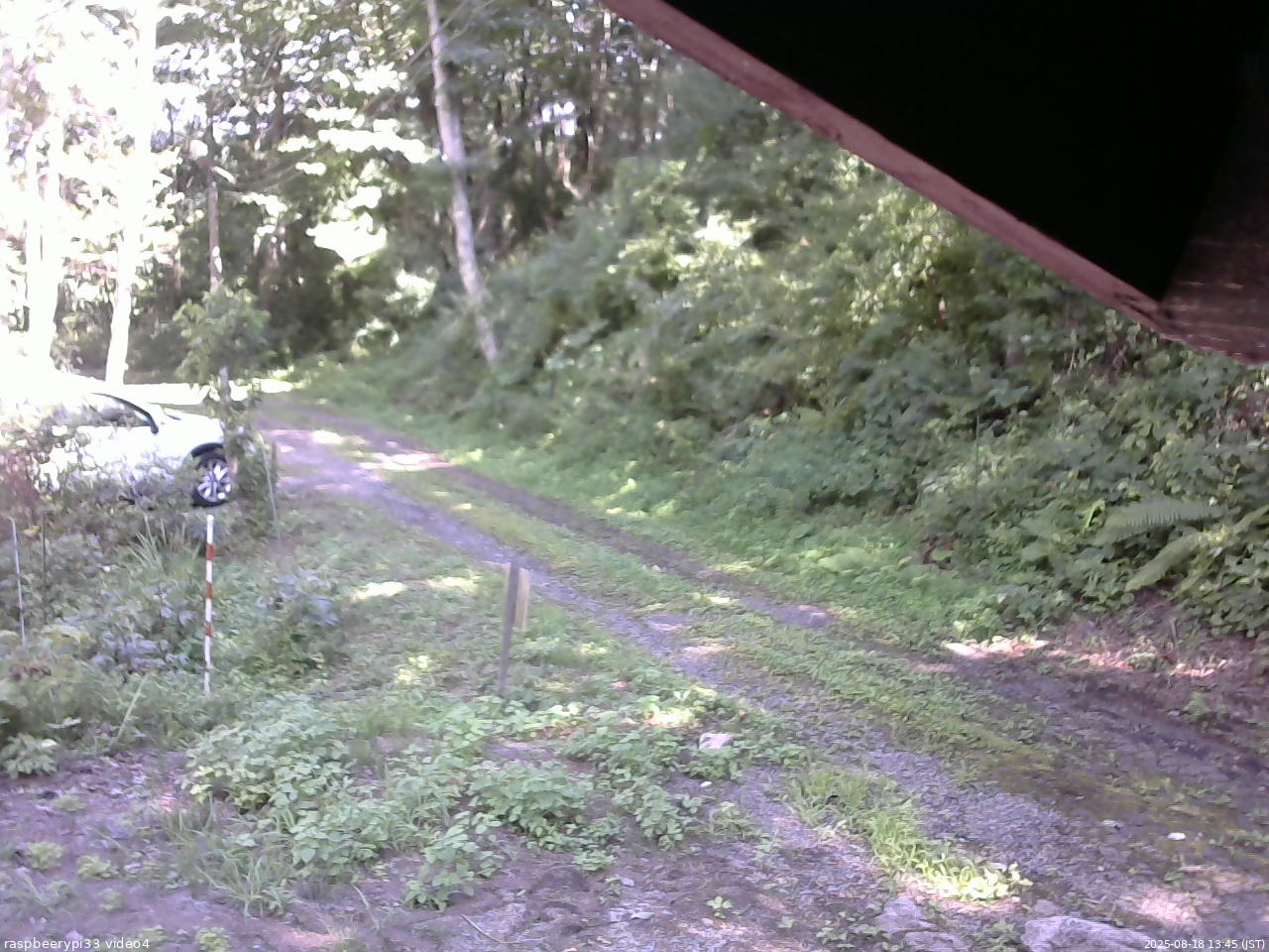 長野県菅平高原 ゆたか山荘 東側(坂下) 2025/08/18 13:45