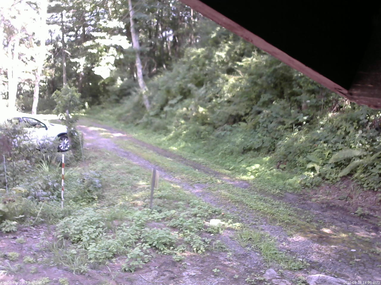 長野県菅平高原 ゆたか山荘 東側(坂下) 2025/08/18 14:00