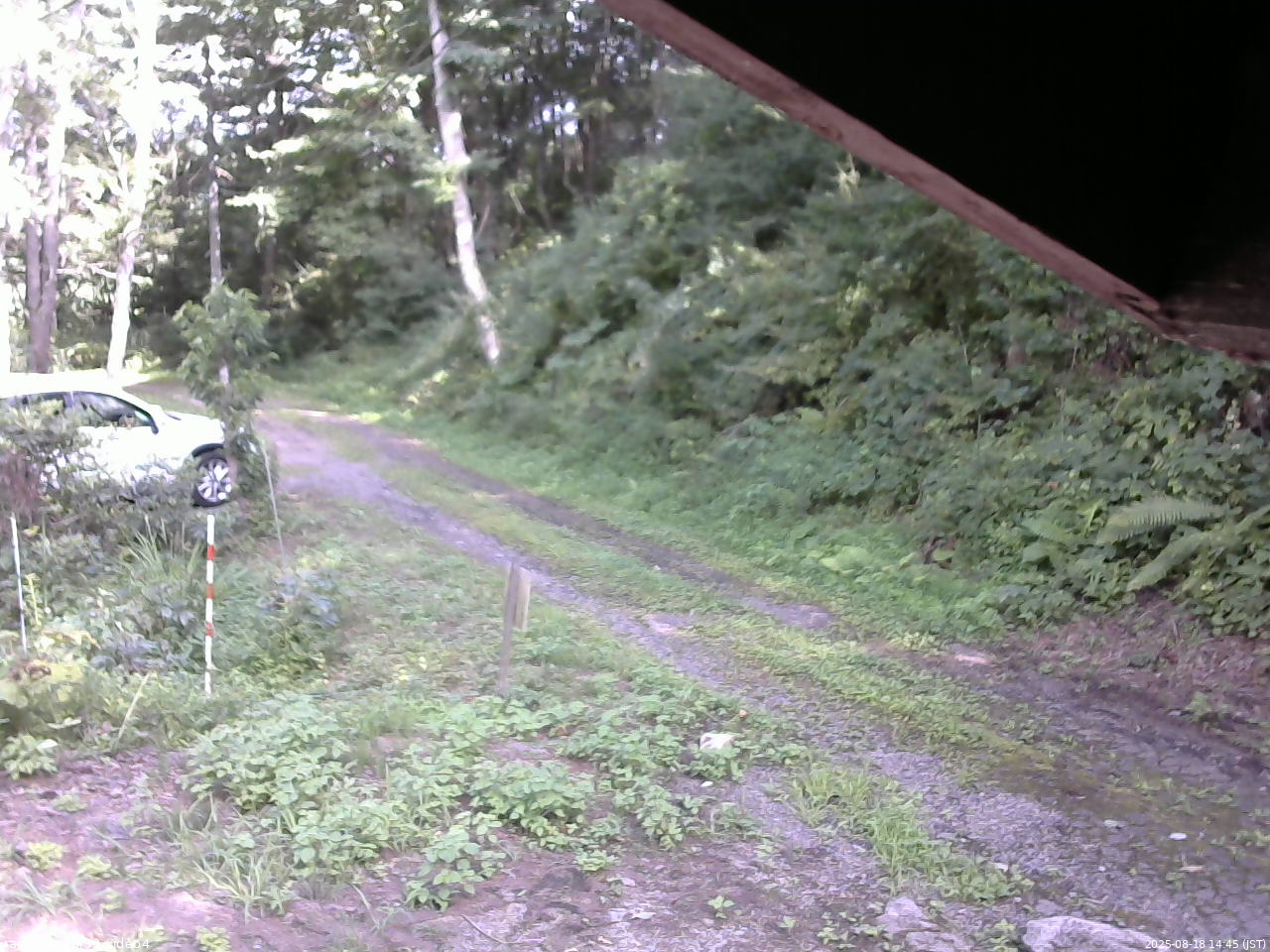 長野県菅平高原 ゆたか山荘 東側(坂下) 2025/08/18 14:45