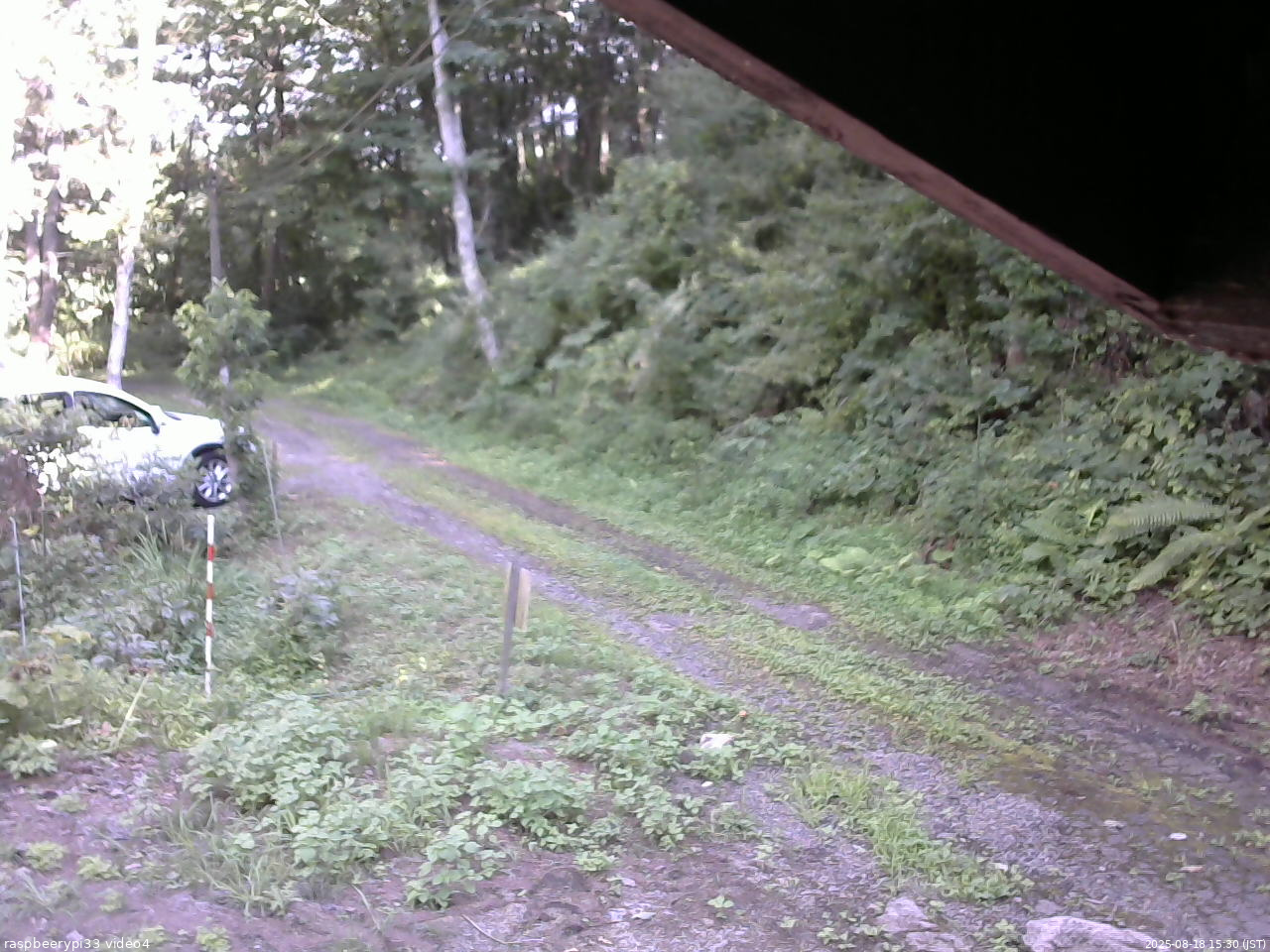 長野県菅平高原 ゆたか山荘 東側(坂下) 2025/08/18 15:30