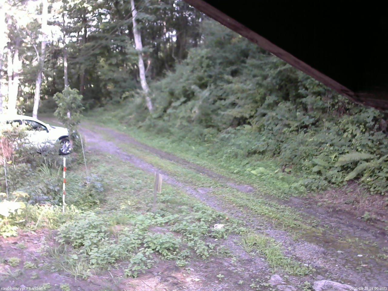 長野県菅平高原 ゆたか山荘 東側(坂下) 2025/08/18 16:00