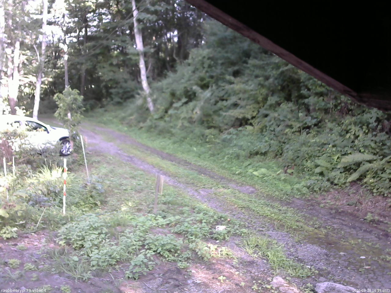 長野県菅平高原 ゆたか山荘 東側(坂下) 2025/08/18 16:15