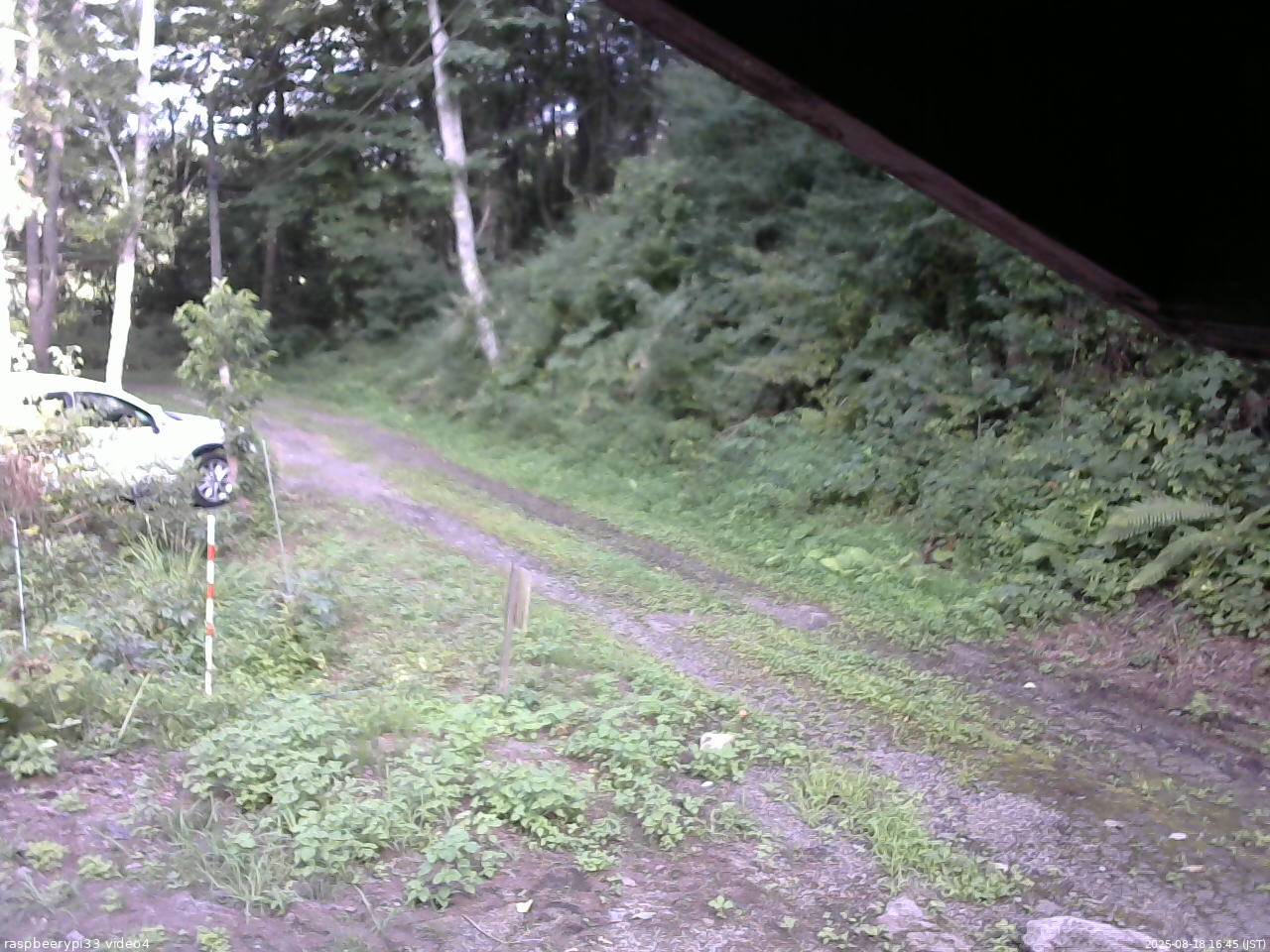 長野県菅平高原 ゆたか山荘 東側(坂下) 2025/08/18 16:45