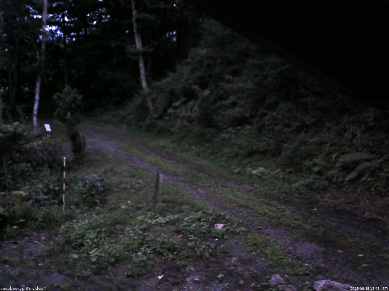 長野県菅平高原 ゆたか山荘 東側(坂下) 2025/08/18 18:45