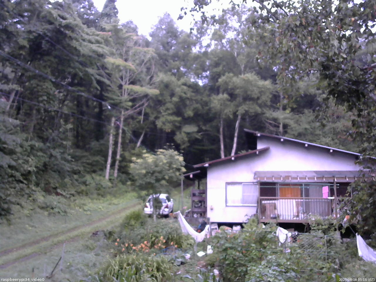 長野県菅平高原 ゆたか山荘 西側(坂上) 2025/08/18 05:15