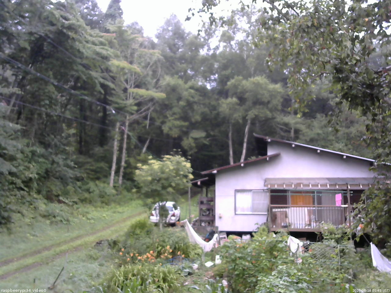 長野県菅平高原 ゆたか山荘 西側(坂上) 2025/08/18 05:45