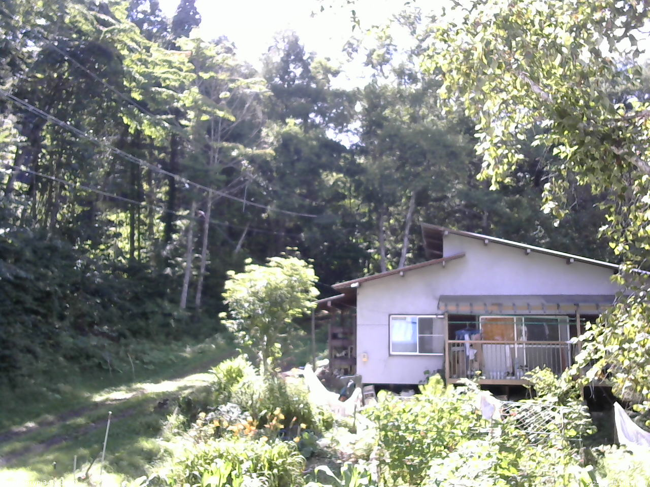 長野県菅平高原 ゆたか山荘 西側(坂上) 2025/08/18 14:15