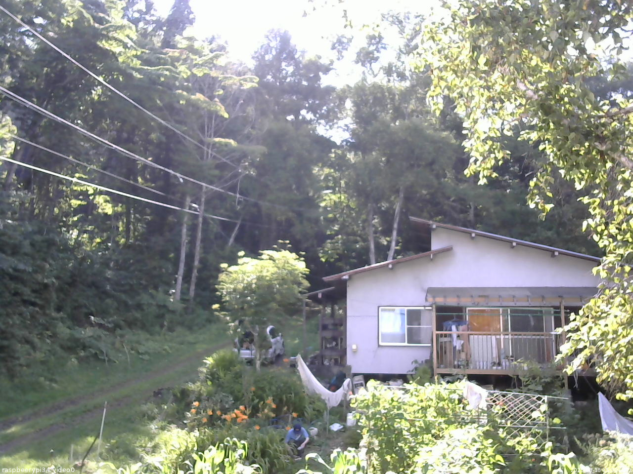 長野県菅平高原 ゆたか山荘 西側(坂上) 2025/08/18 15:30