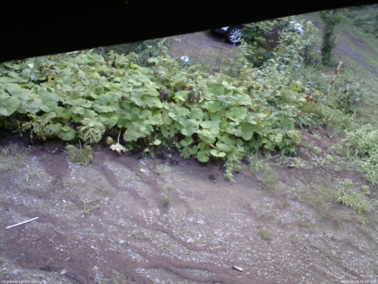 長野県菅平高原 ゆたか山荘 駐車場 2025/08/18 06:00