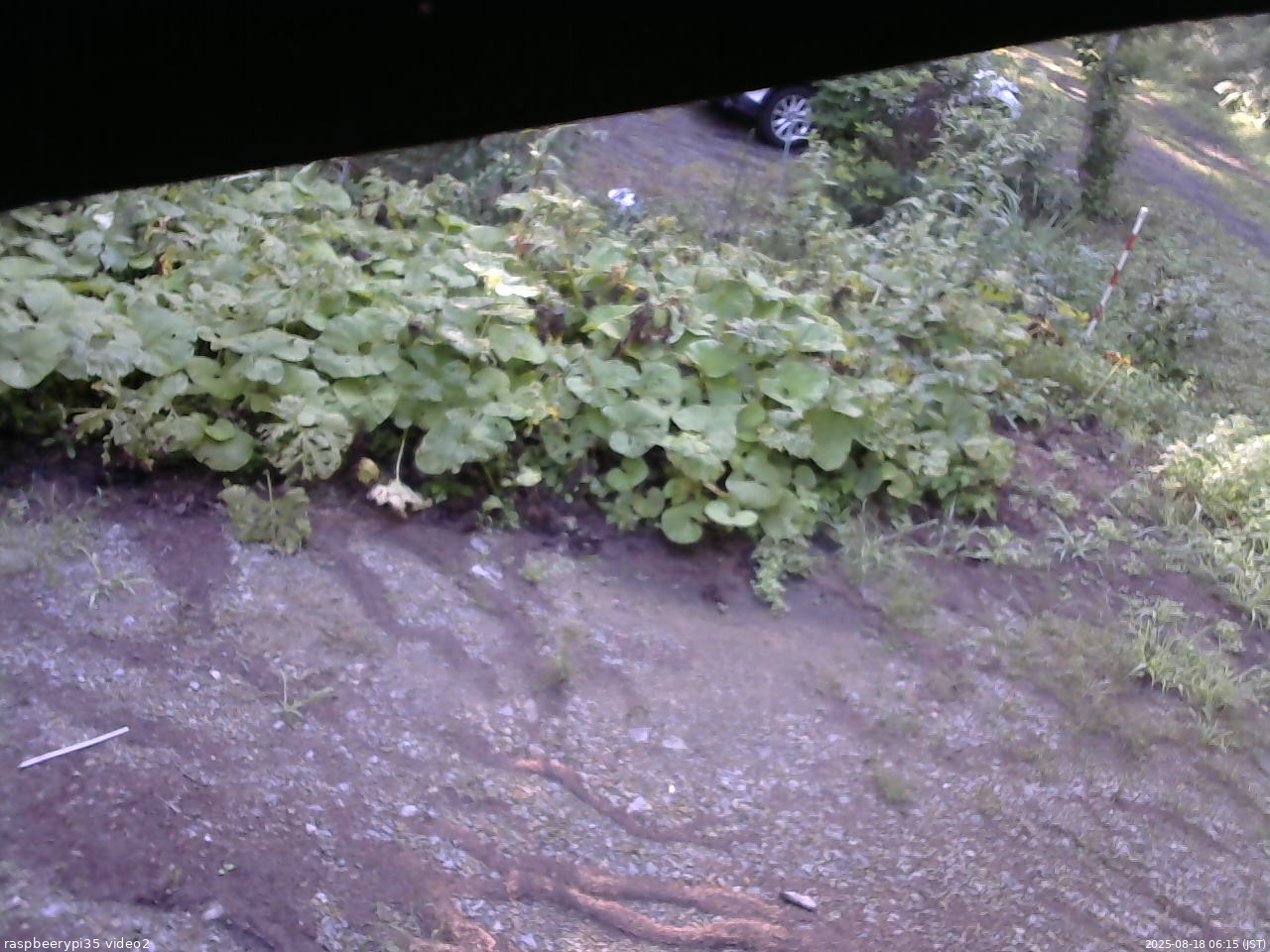 長野県菅平高原 ゆたか山荘 駐車場 2025/08/18 06:15
