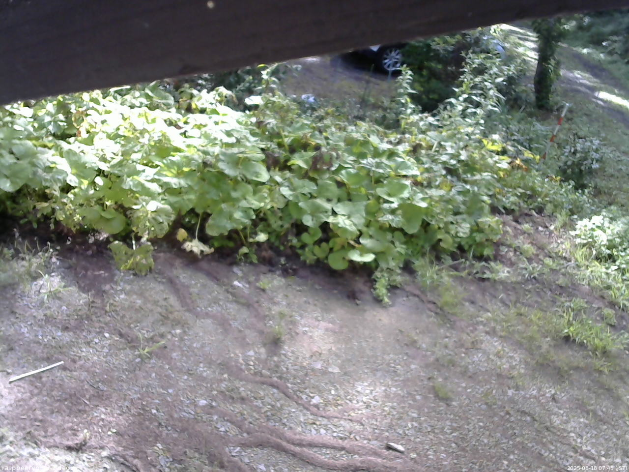 長野県菅平高原 ゆたか山荘 駐車場 2025/08/18 07:45