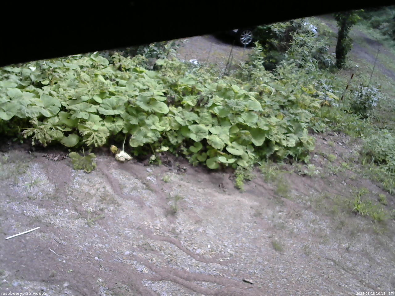 長野県菅平高原 ゆたか山荘 駐車場 2025/08/18 10:15